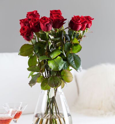 12 langstilkede røde roser